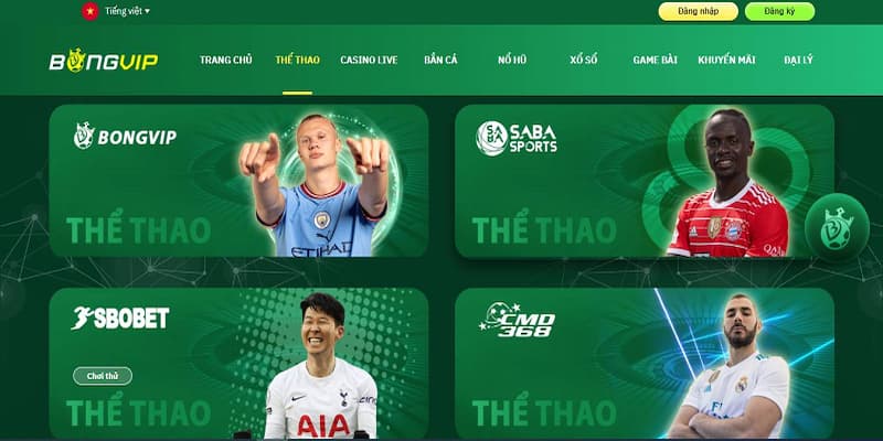 Khám phá sảnh cá cược thể thao Bongvip hấp dẫn nhất hiện nay